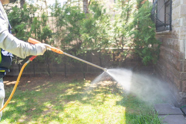 Best Seasonal Pest Control (e.g., summer mosquitoes, winter rodents)  in Bayfield, CO